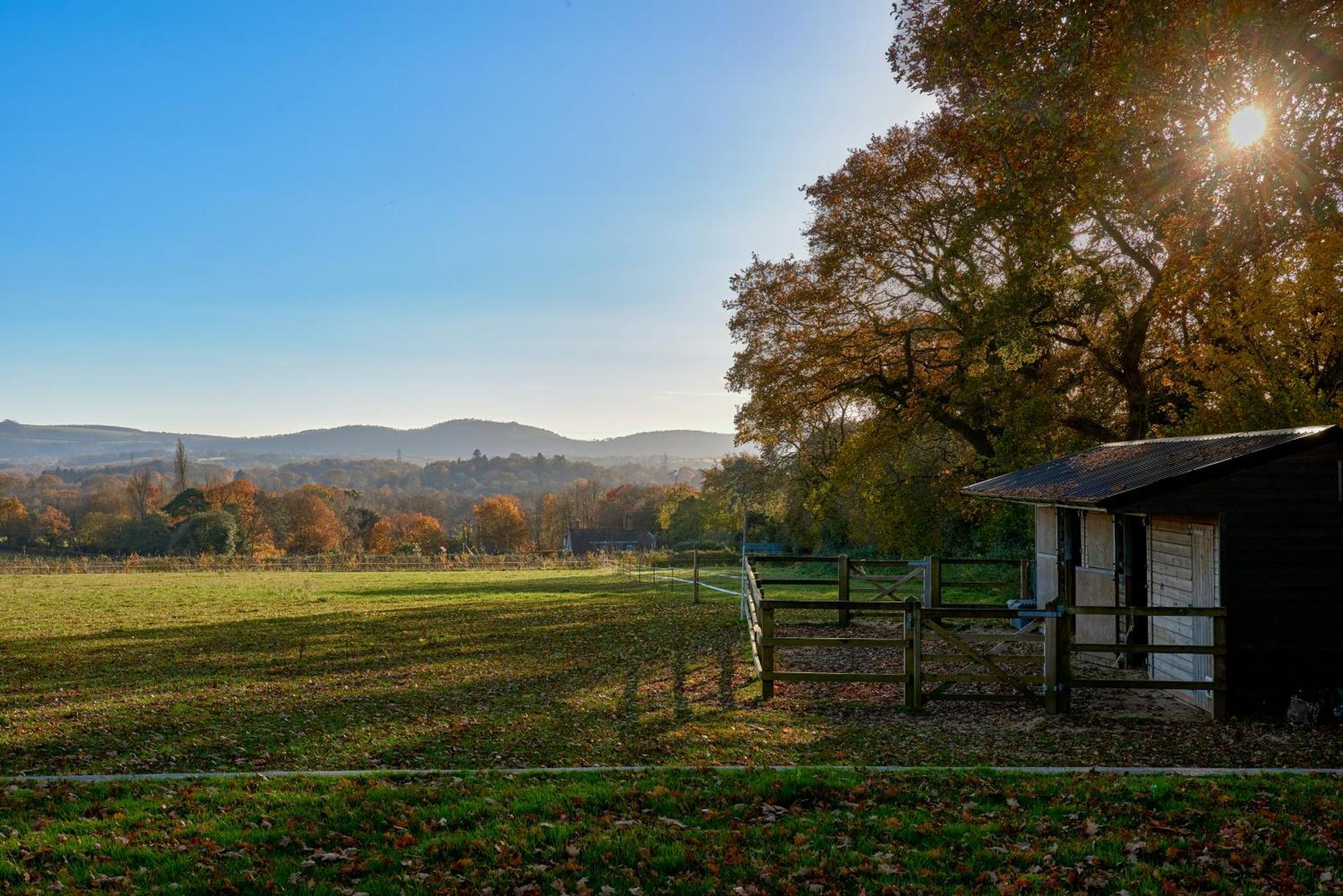 Stunning Cabin With Incredible Views Near Goodwood Rogate Zewnętrze zdjęcie