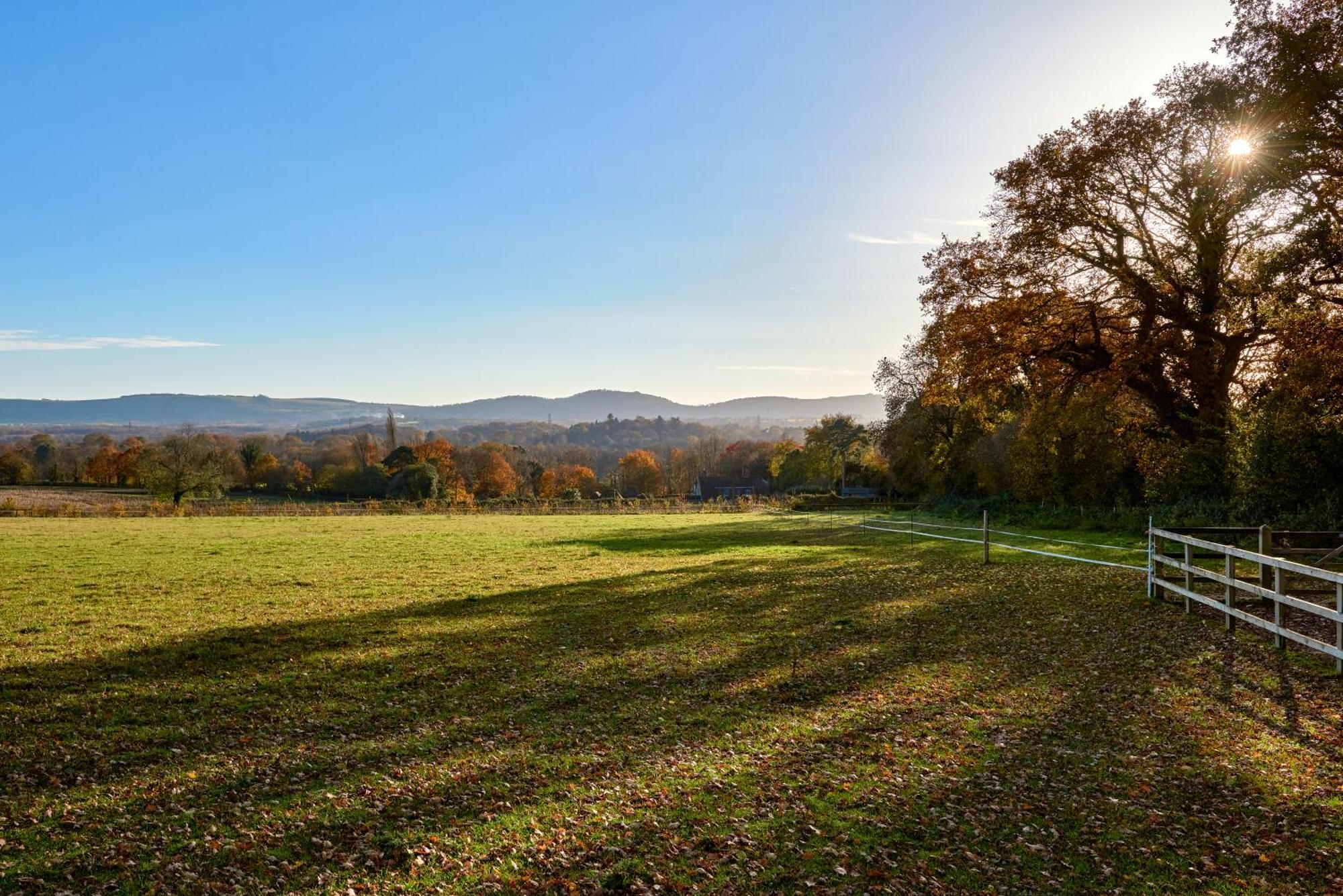 Stunning Cabin With Incredible Views Near Goodwood Rogate Zewnętrze zdjęcie