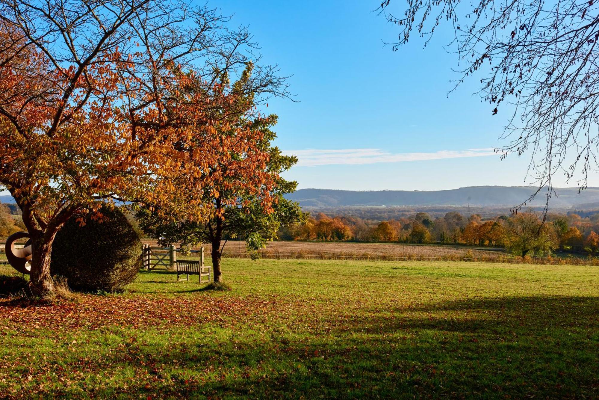 Stunning Cabin With Incredible Views Near Goodwood Rogate Zewnętrze zdjęcie