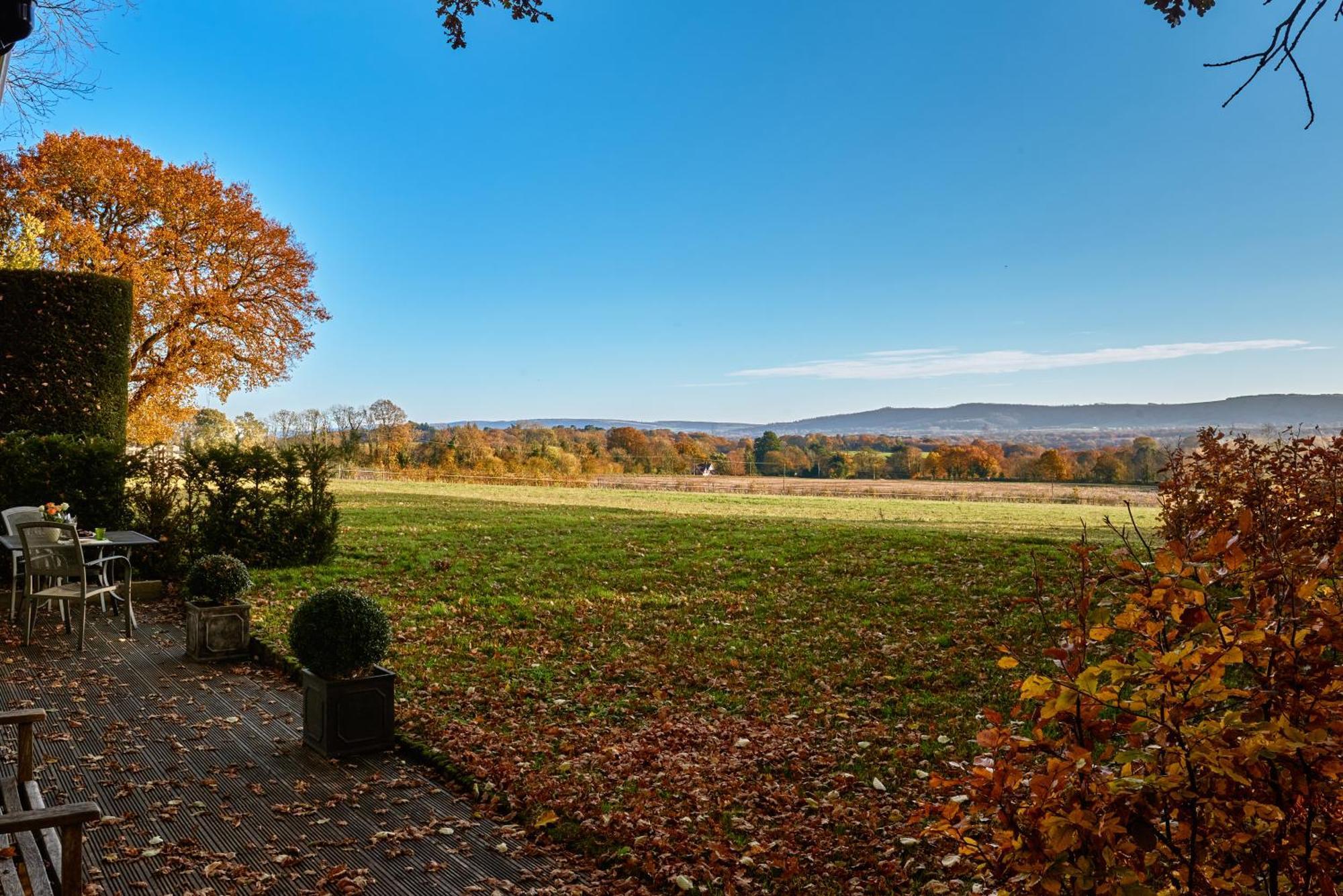 Stunning Cabin With Incredible Views Near Goodwood Rogate Zewnętrze zdjęcie
