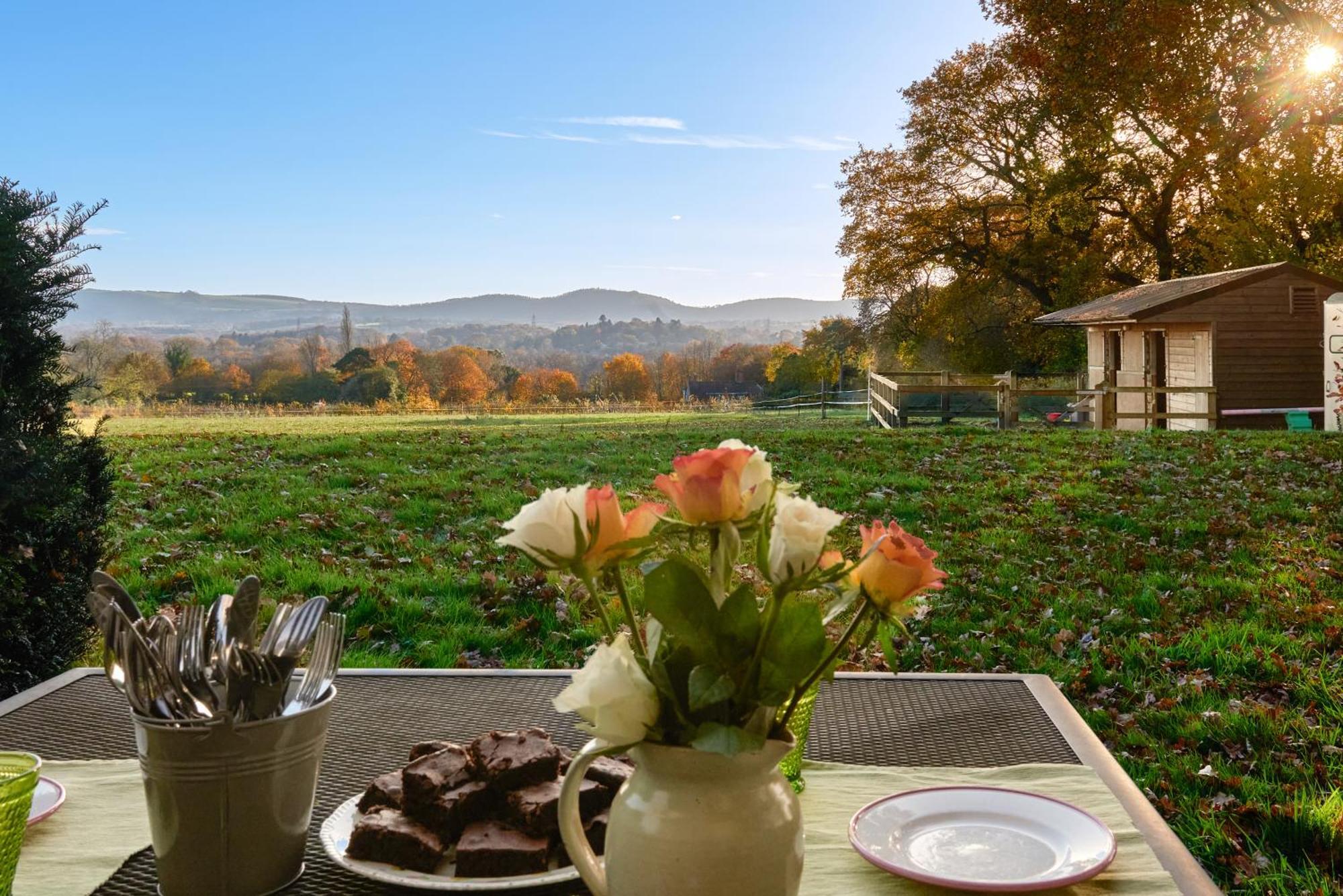 Stunning Cabin With Incredible Views Near Goodwood Rogate Zewnętrze zdjęcie