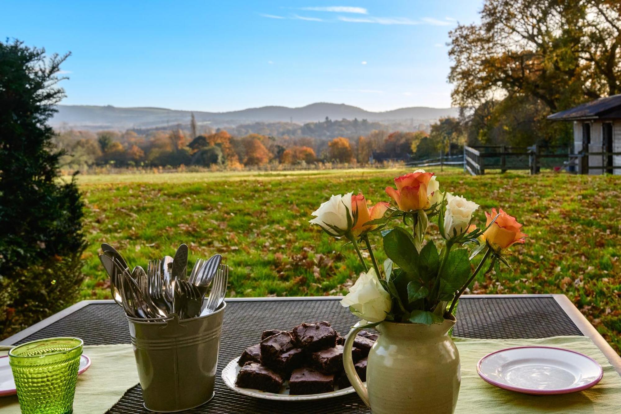 Stunning Cabin With Incredible Views Near Goodwood Rogate Zewnętrze zdjęcie